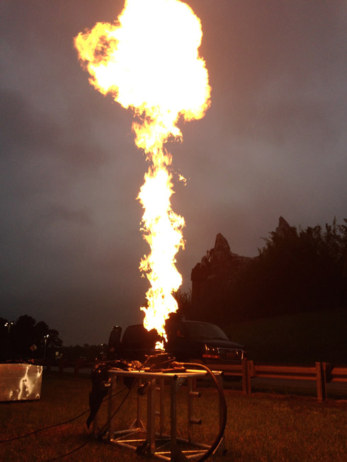 drangonfly 30  ft propane flames at a disney event